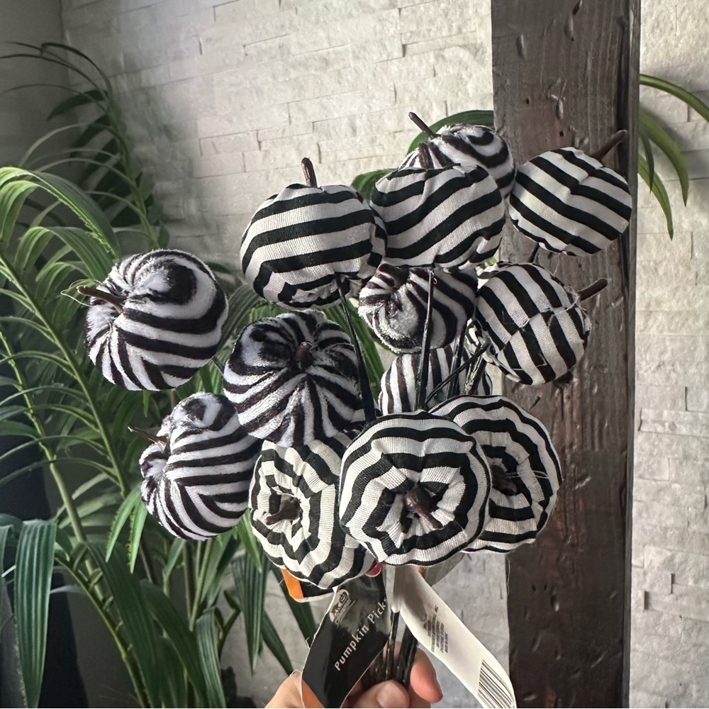 Striped Black and White Decorative Halloween Pumpkin Picks 5
Piece Lot NWT